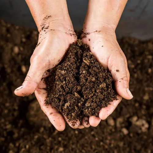 Vista 3 de Doter Musgo de Turba Sphagnum Orgánico, Añadido al Suelo y Enriquece las Raíces de las Plantas, Enmienda del Suelo de Jardinería y Medio de Suelo