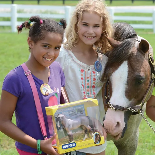Vista 4 de Breyer Poni galés, tradicional, Brookside Pink Magnum