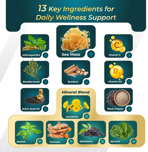 Vista 4 de Musgo marino prémium con Ashwagandha, vejiga de bardana, semillas negras para sistema inmunológico, piel, digestión y energía (150