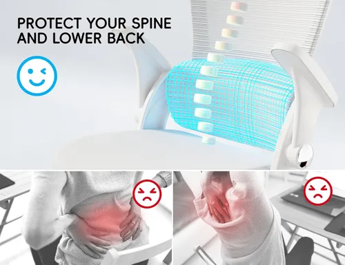 Vista 3 de TRALT Silla de Oficina – Silla de Oficina Ergonómica con Soporte para la Espalda, Silla de Computadora - Sillas de Escritorio para Oficina en Casa