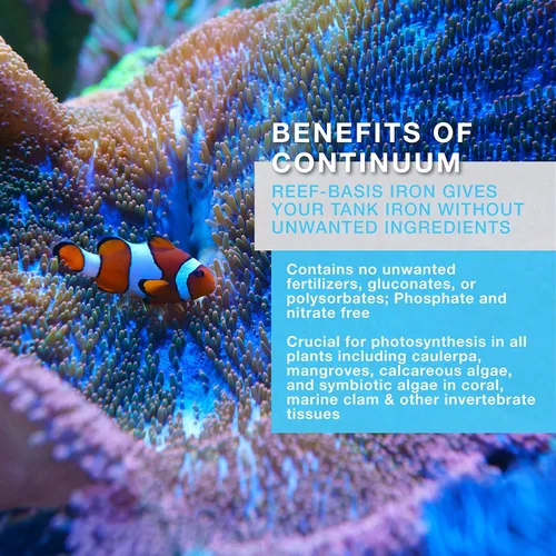 Vista 3 de Continuum Aquatics Reef Basis Iron - Suplemento de macroalgas de hierro para todos los acuarios marinos de peces y arrecifes, 2 litros