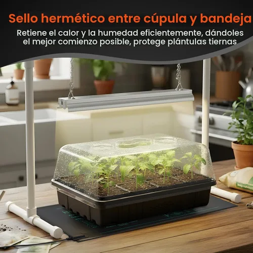 Vista 4 de SOLIGT Juego de 3 bandejas de plástico grueso para principiantes