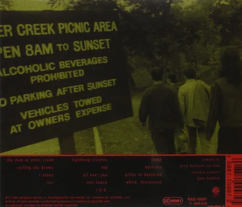 Vista 2 de Throwing Copper