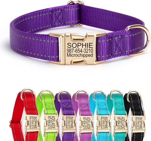 Vista 23 de Collar de perro de nailon reflectante personalizado con etiqueta de nombre Collares de perro con hebilla dorada grabados personalizados Collar
