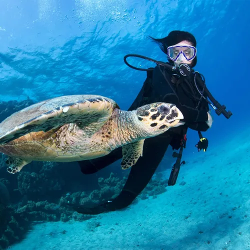 Vista 7 de Máscara de buceo Pano 3 para adultos, máscara de esnórquel de vidrio templado, máscara de natación antivaho sin fugas, gafas de natación con Azul