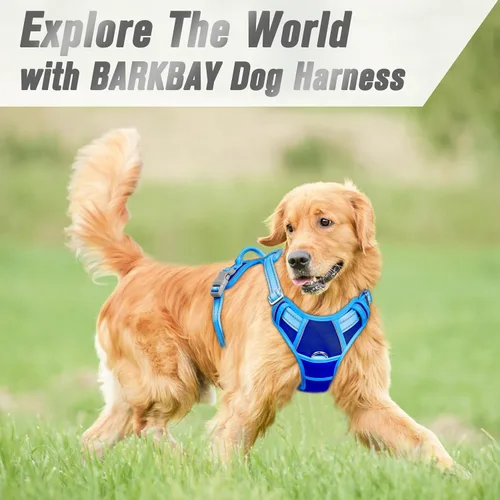 Vista 16 de BARKBAY - Arnés para perro sin tirones con clip frontal, material resistente y reflectante, asa de fácil control para pasear perros grandes