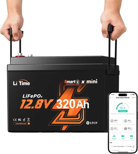 Vista 12 de Litime Batería de litio Xtra Mini LiFePO4 de 12V 100Ah para RV, cámper