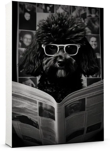 Vista 128 de Thuan Affenpinscher - Póster de lienzo con tus fotos, arte de pared para decoración del hogar, regalo conmemorativo para amantes de las mascotas