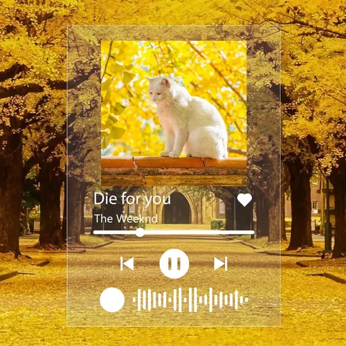 Vista 7 de Soporte de acrílico personalizado de Spotify Music Custom Lovers Women Photo Prints Canción Cantante Nombre Fecha Álbum Cubierta Placa Regalo