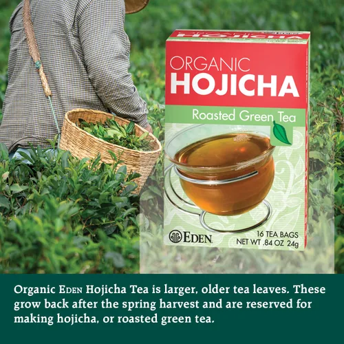Vista 3 de Eden Hojicha Té verde tostado orgánico, bajo en cafeína, japonés, 16 bolsas de té de manila sin blanquear por caja (paquete de 3)