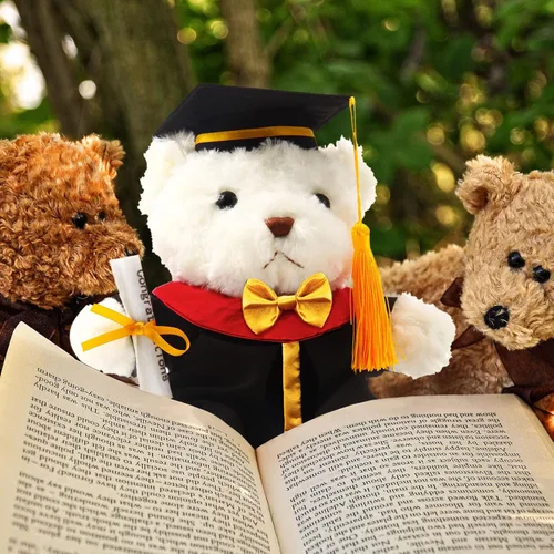 Vista 5 de Juego de 1 bata de oso de peluche de graduación que se adapta a la mayoría de los niños de 8 a 13 pulgadas, disfraz de oso de peluche para mascotas