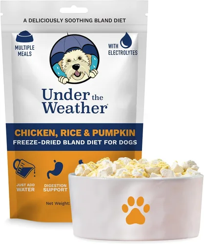 Vista 12 de Under the Weather Bland Diet para perros Fácil de digerir para perros enfermos Siempre esté listo Contiene electrolitos – Carnes naturales