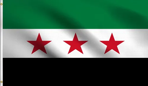Vista 131 de DMSE - Bandera nacional beninesa beninesa de la República de África Occidental, 2 x 3 pies, 100 % poliéster, 100 % poliéster, resistente a los rayos