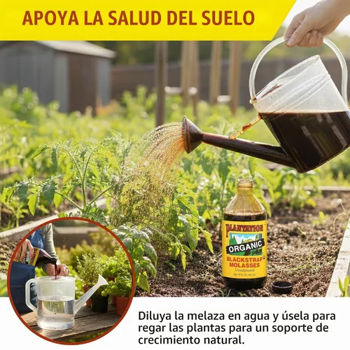 Vista 8 de Melaza negra orgánica de Plantation – 15 oz