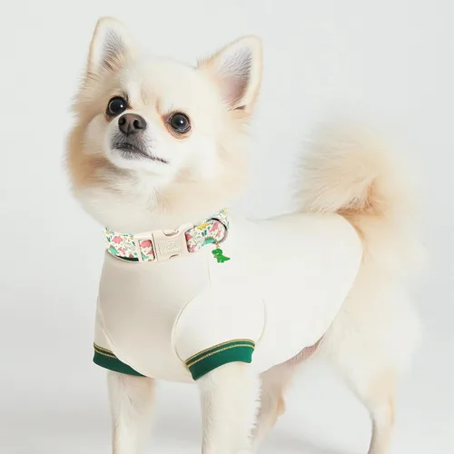 Vista 395 de Collar para perros del 4 de julio, collares patrióticos azules para cachorros y perros pequeños, ligero y ajustable 1776 collares para cachorros