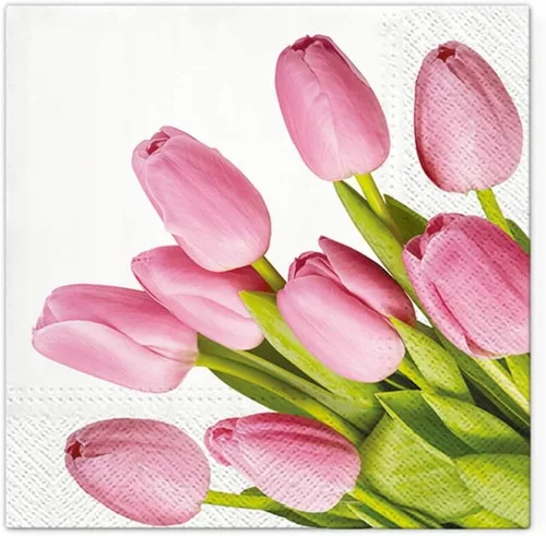 Vista 10 de Servilletas de papel de flores de primavera y verano, tamaño almuerzo, desechable, 20 unidades, 13 x 13 pulgadas (desplegadas) (Bird of Paradise)