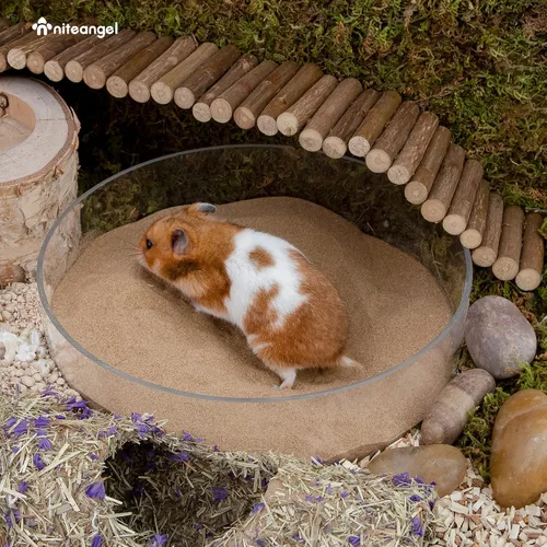 Vista 6 de Niteangel Baño de Arena del Desierto para Hámster Baño Sin Polvo o Arena para Baño de Hámster, Chinchillas, Jerbos, Ratones, Degu u Otras Mascotas