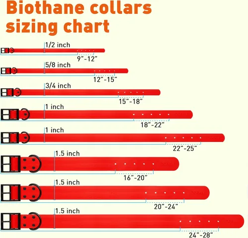 Vista 151 de Dogline Biothane - Collar impermeable para perro con hebilla de liberación rápida, resistente cincha de nailon recubierta con resistente y a prueba