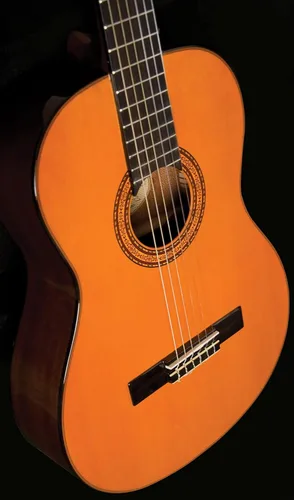 Vista 5 de Washburn Clásico C5, Guitarra Acústica