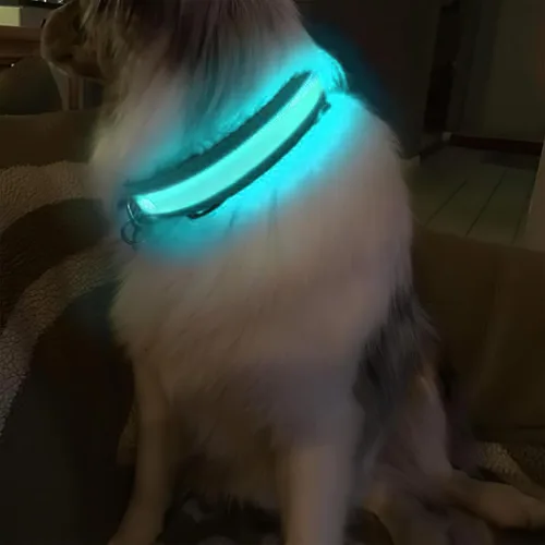 Vista 7 de MASBRILL Collares de perro con luz LED, collar de perro recargable iluminado resistente al agua, para caminar por la noche, collares para perros