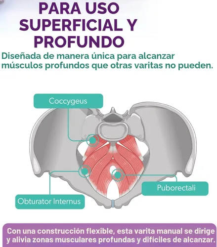 Vista 3 de Intimate Rose - Varita pélvica para puntos de activación y puntos sensibles, para músculos del suelo pélvico, hombres y mujeres, uso en terapia