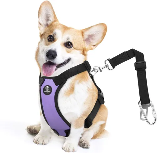 Vista 25 de VavoPaw cinturón de seguridad para perro, arnés de coche con hebilla ajustable para perro, cinturón de seguridad de nailon para mascotas, resistente