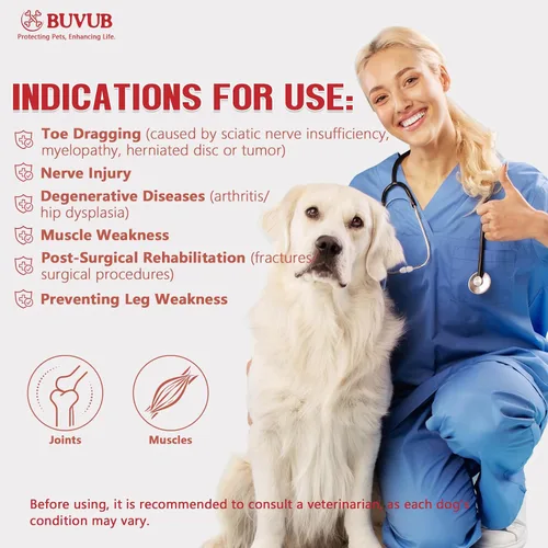 Vista 4 de Soporte para nudillos caninos para perro, pierna trasera, para pies de perro, para arrastrar los dedos de los pies, causa por insuficiencia