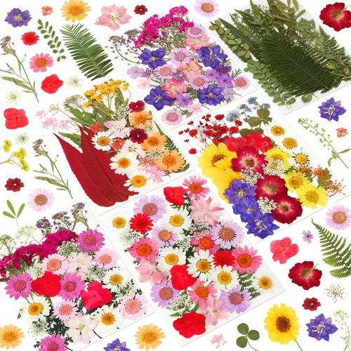 Vista 8 de 412 piezas de flores secas para manualidades, flores secas de naturaleza