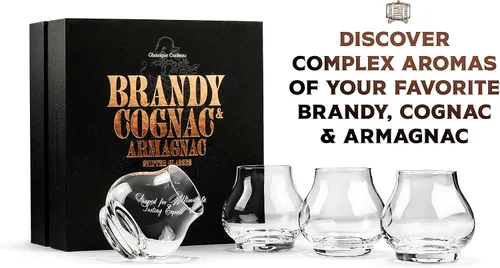 Vista 5 de Vasos pequeños de degustación de brandy, coñac y armagnac de 8 onzas Juego de 4 Snifters profesionales en forma de globo para nariz y beber