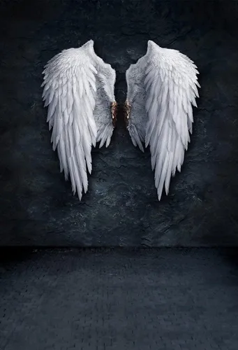 Vista 6 de AOFOTO Fondo de pared de 3 x 5 pies, diseño de alas de ángel, fondo de fotografía de pared para niños, niñas, niños, adultos, retrato artístico