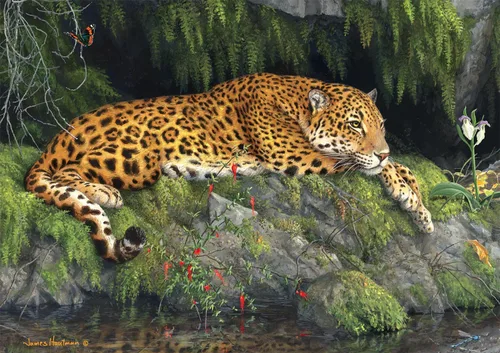 Vista 2 de Buffalo Games - Hautman Brothers - Jaguar y mariposa - Rompecabezas de 300 piezas para adultos a partir de 14 años desafiante rompecabezas perfecto