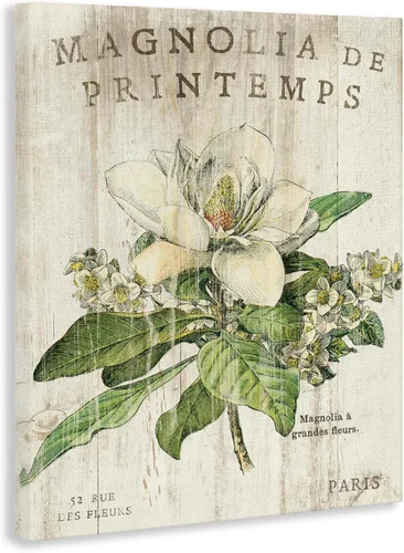Vista 2 de Stupell Industries Lienzo decorativo para pared, diseño de magnolias francesas en primavera, fabricado con orgullo en Estados Unidos, diseñado por