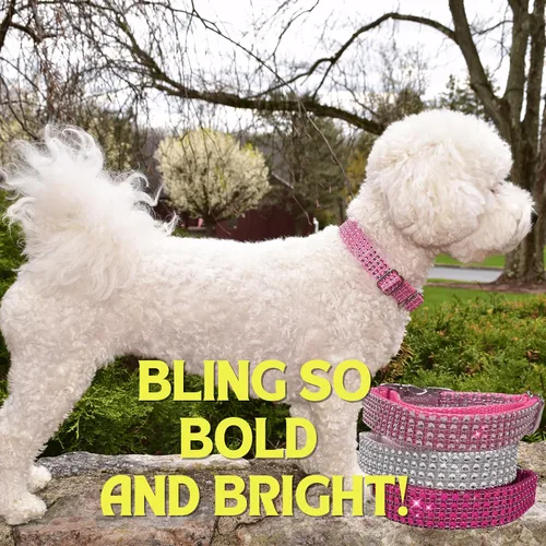 Vista 9 de Collar de perro con diamantes de imitación personalizable, hebilla grabada y opciones de correa, hecho en Estados Unidos, collares brillantes