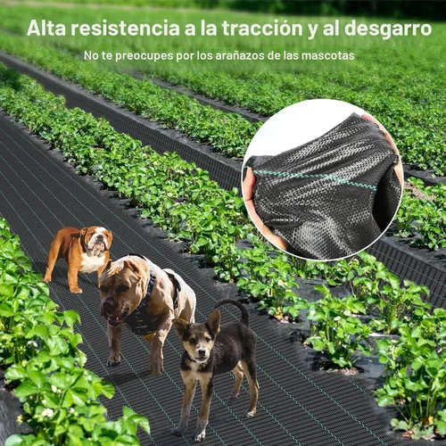 Vista 5 de Iropro 3 pies x 300 pies Barrera de malezas Tela de paisaje 3.2 onzas Tela resistente, tela tejida de control de malezas, tela geotextil tejida