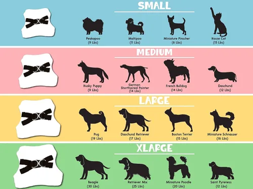 Vista 5 de Arnés bordado para perro sin tirones con nombre del perro, 5 fuentes, 7 iconos, arnés tipo chaleco de malla para perros pequeños y medianos