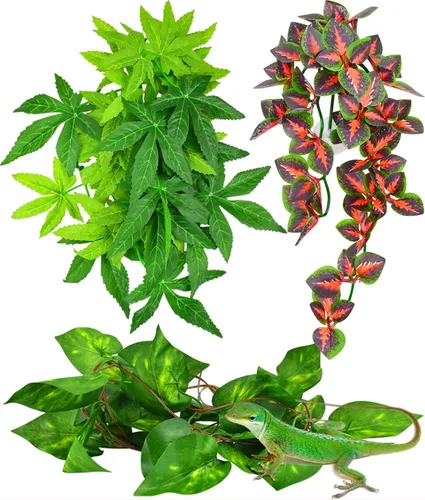 Vista 8 de KATUMO Plantas de reptiles, 3 plantas colgantes de anfibios con ventosa para lagartos, geckos, dragones barbudos, serpientes, cangrejos ermitaños