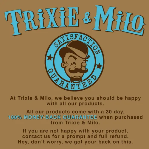Vista 6 de Trixie & Milo Frascos divertidos de acero inoxidable para golfistas, regalo perfecto para él o ella, regalos de padrinos de boda, regalos de bar