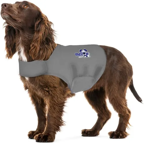 Vista 5 de Camisa Mellow Shirt para calmar la ansiedad de perros, Cypress