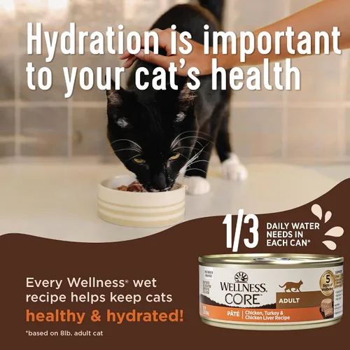 Vista 3 de Wellness CORE+ Alimento húmedo en paté de peso saludable para gatos adultos, natural, rico en proteínas, sin granos, 2.8 onzas, paquete de 12
