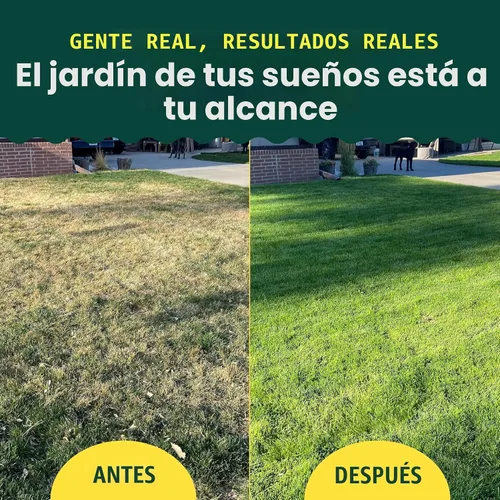 Vista 6 de Sunday Lawn Kickstart + Green Machine - Paquete mixto de fertilizantes granulares para césped, Green-Up rápido + crecimiento sostenido, 25-0-4
