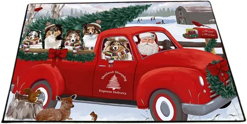 Vista 22 de Doggie of the Day Shetland Sheepdogs Floor Mat - Carnival Kissing Booth - Best Dog Doormat - Protector Decor - Unique Portrait Art - Premium Quality
