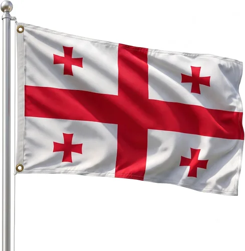 Vista 193 de DMSE - Bandera nacional beninesa beninesa de la República de África Occidental, 2 x 3 pies, 100 % poliéster, 100 % poliéster, resistente a los rayos