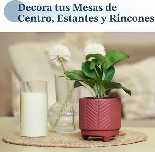 Vista 8 de Fine Living Maceta de terracota de 4 pulgadas con patrón de cheurón para Marrón - Chevro