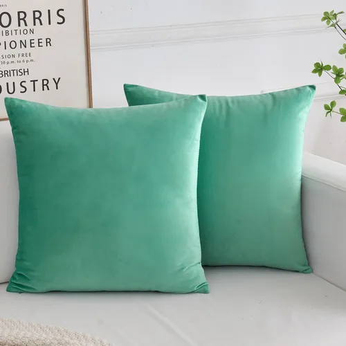 Vista 12 de Juego de 2 fundas de almohada decorativas de terciopelo, funda de cojín cuadrada suave para decoración del hogar para sala de estar, sofá o cama