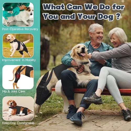 Vista 4 de Rodillera para perro para pierna trasera desgarrada, ajustable para pierna trasera con 7 estabilizadores, reduce el dolor, lesiones de ligamentos