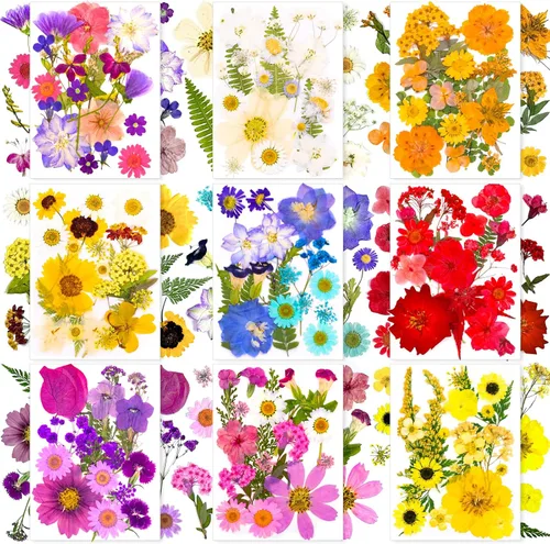 Vista 10 de 92 hojas de flores secas prensadas para moldes de resina, manualidades de bricolaje