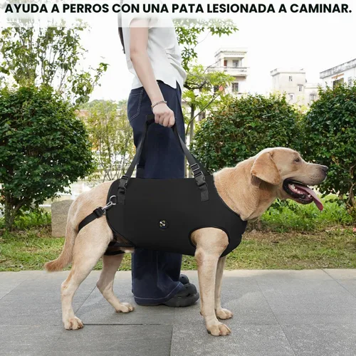 Vista 6 de Coodeo Arnés de elevación para perros, soporte y rehabilitación con correa ajustable acolchada y transpirable para perros ancianos, discapacitados