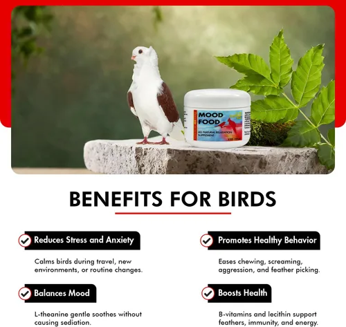 Vista 5 de Morning Bird Comida para el estado de ánimo, 2 onzas, suplemento calmante natural para pájaros, no sedante, comportamiento no deseado, desplumado
