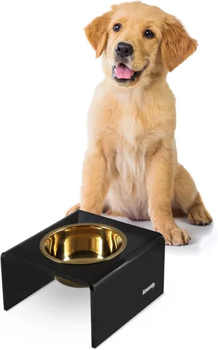 Vista 25 de DBL2000B Keaton - Comedero rectangular elevado moderno de lucita para mascotas de 5 pulgadas, tamaño pequeño/mediano, con 2 cuencos de acero
