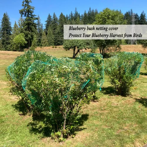 Vista 4 de Red para pájaros para jardín de 6.5 x 50 pies, malla de 1/4 de pulgada, protege arándanos, fresas, tomates, verduras. Red de árboles frutales